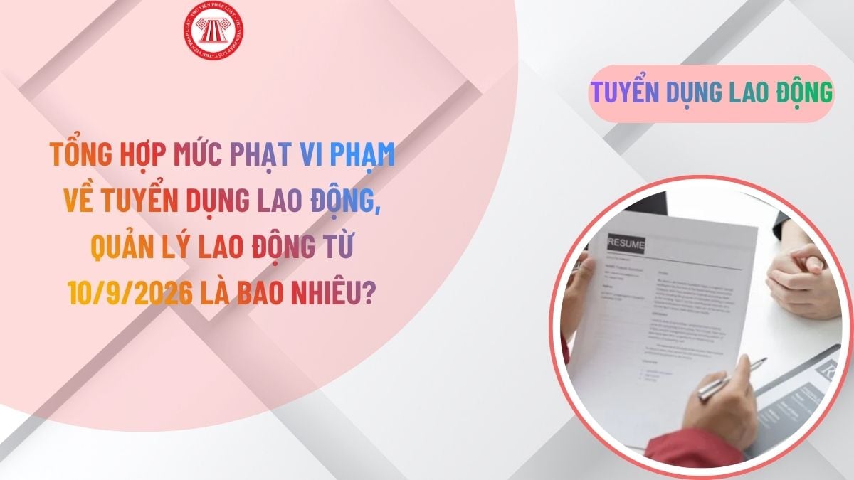 Lao Động Tiền Lương