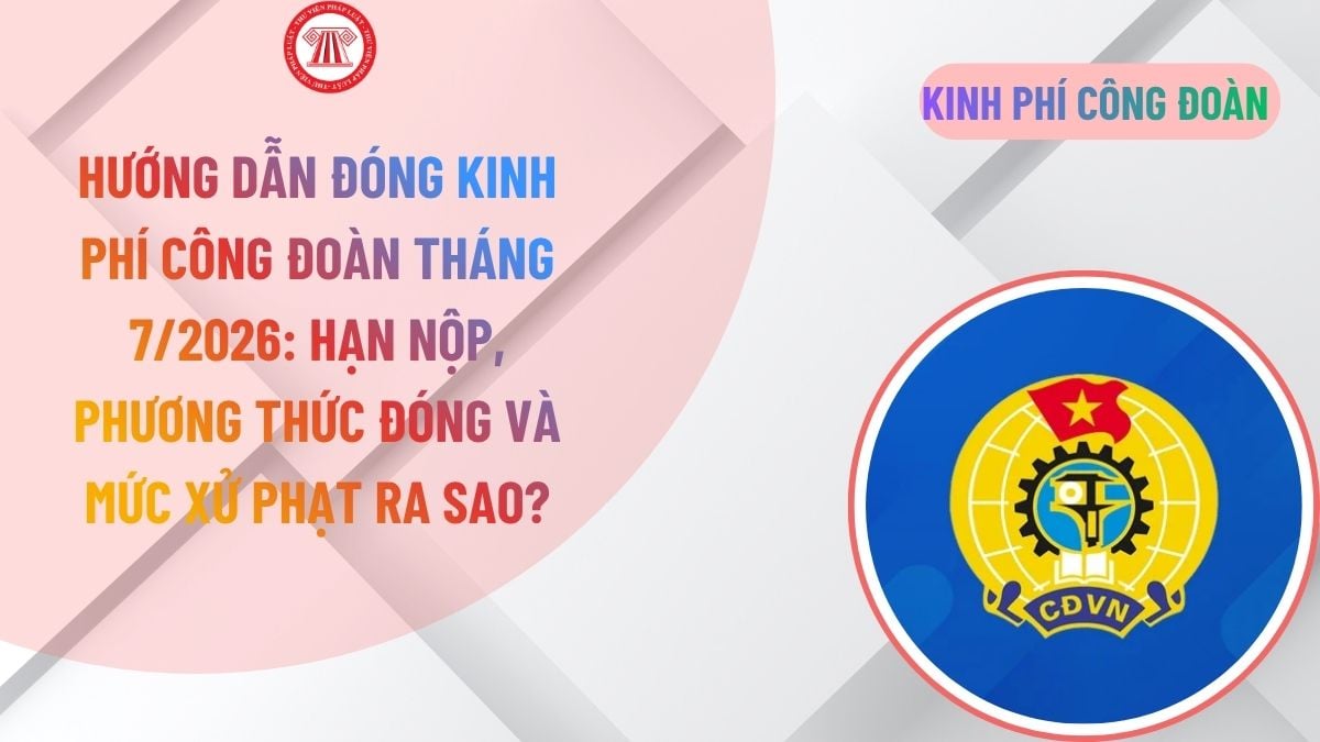 Lao Động Tiền Lương