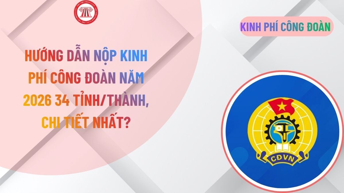 Lao Động Tiền Lương