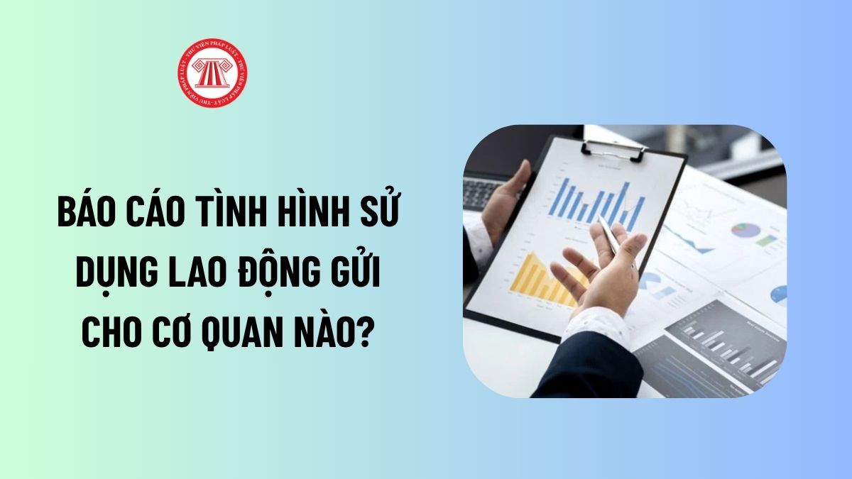 Lao Động Tiền Lương
