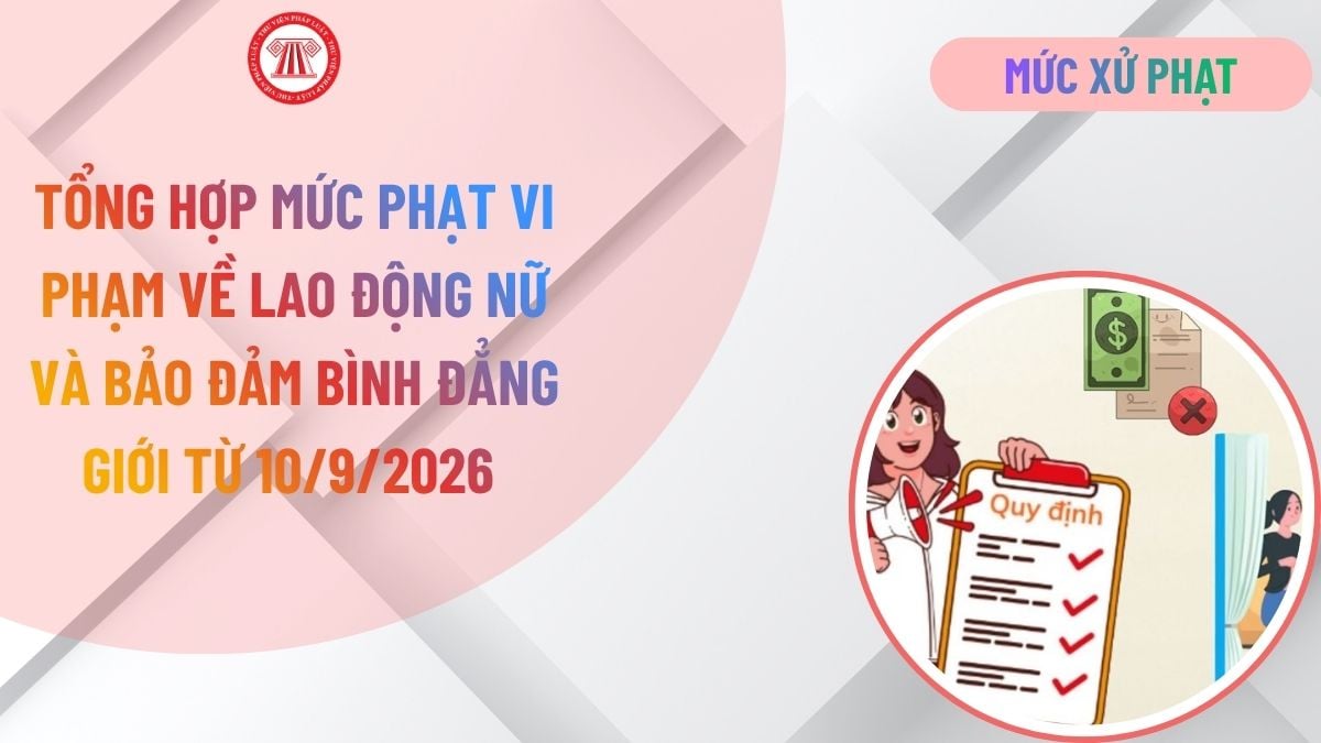 Lao Động Tiền Lương