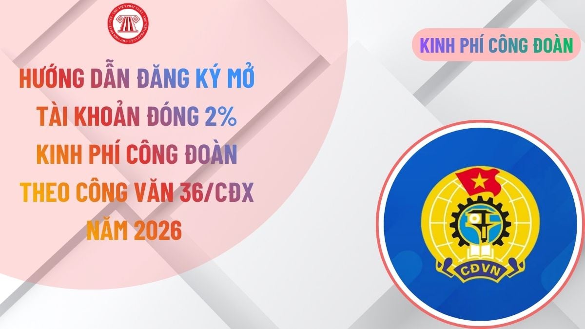 Lao Động Tiền Lương