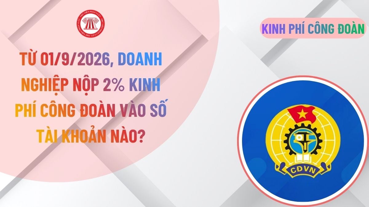 Lao Động Tiền Lương