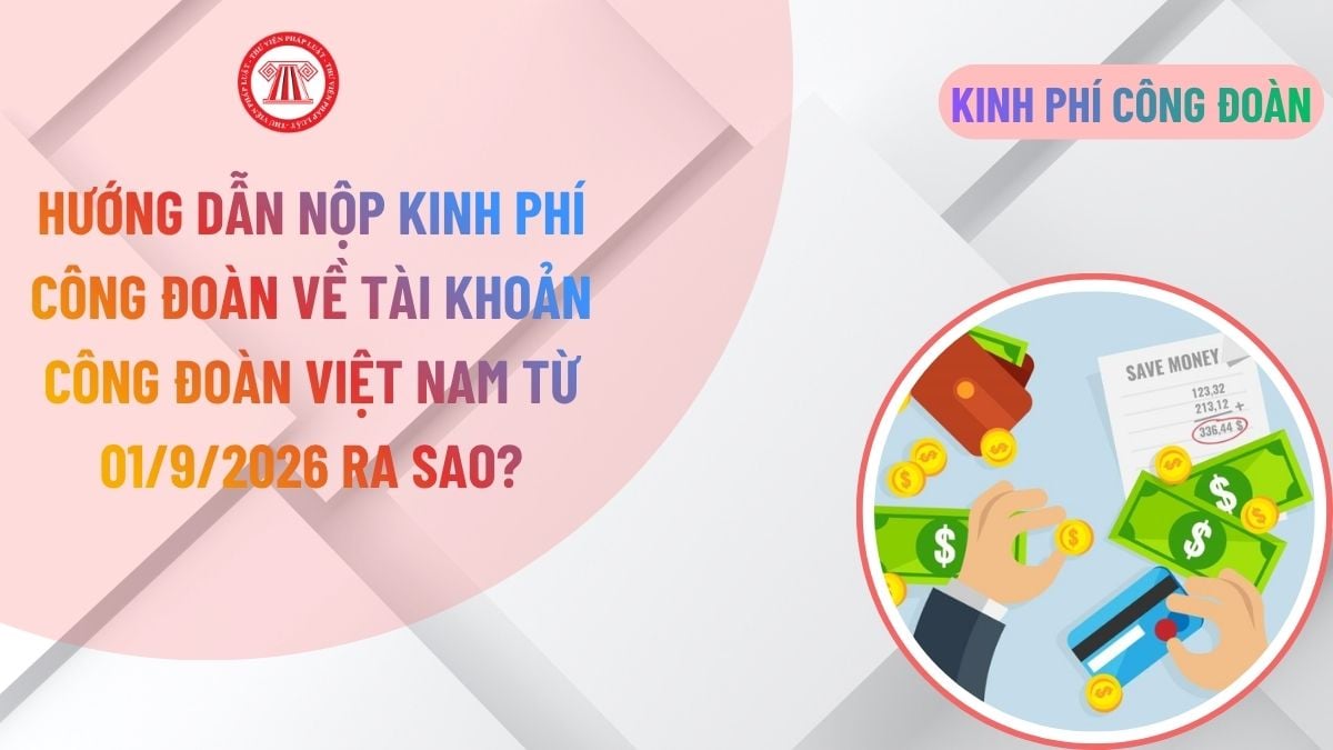 Lao Động Tiền Lương