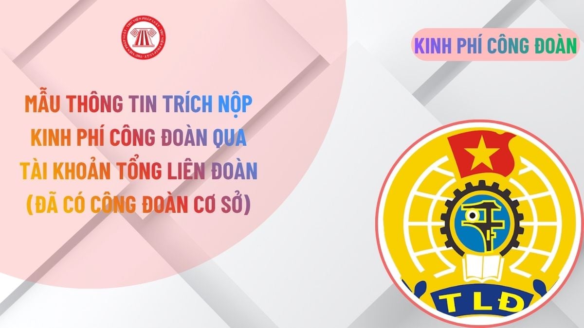 Lao Động Tiền Lương