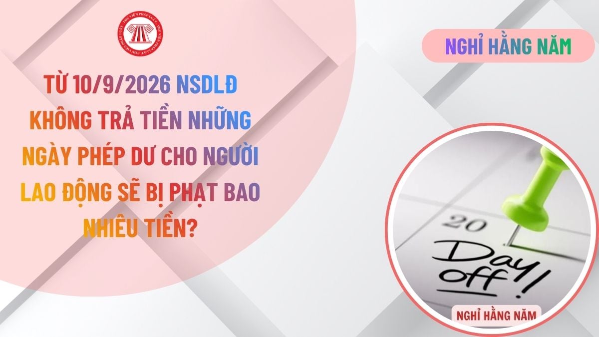 Lao Động Tiền Lương