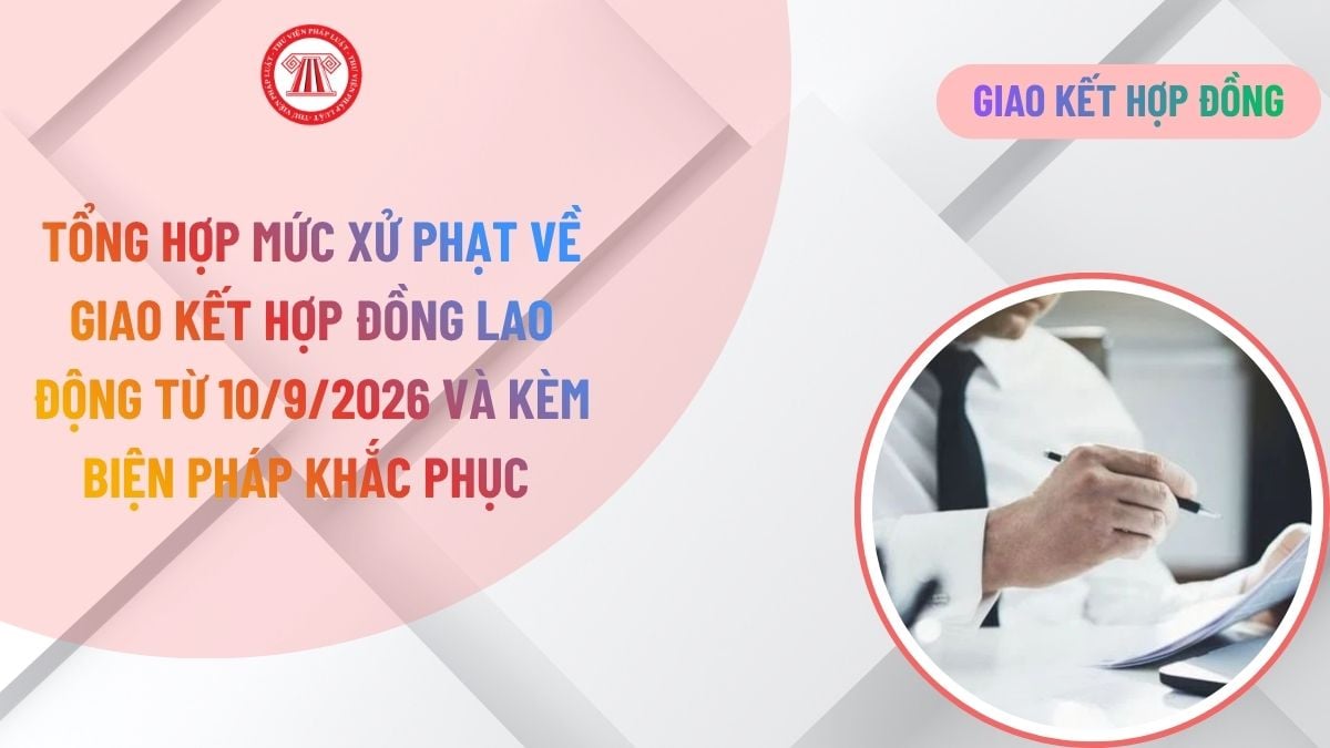 Lao Động Tiền Lương