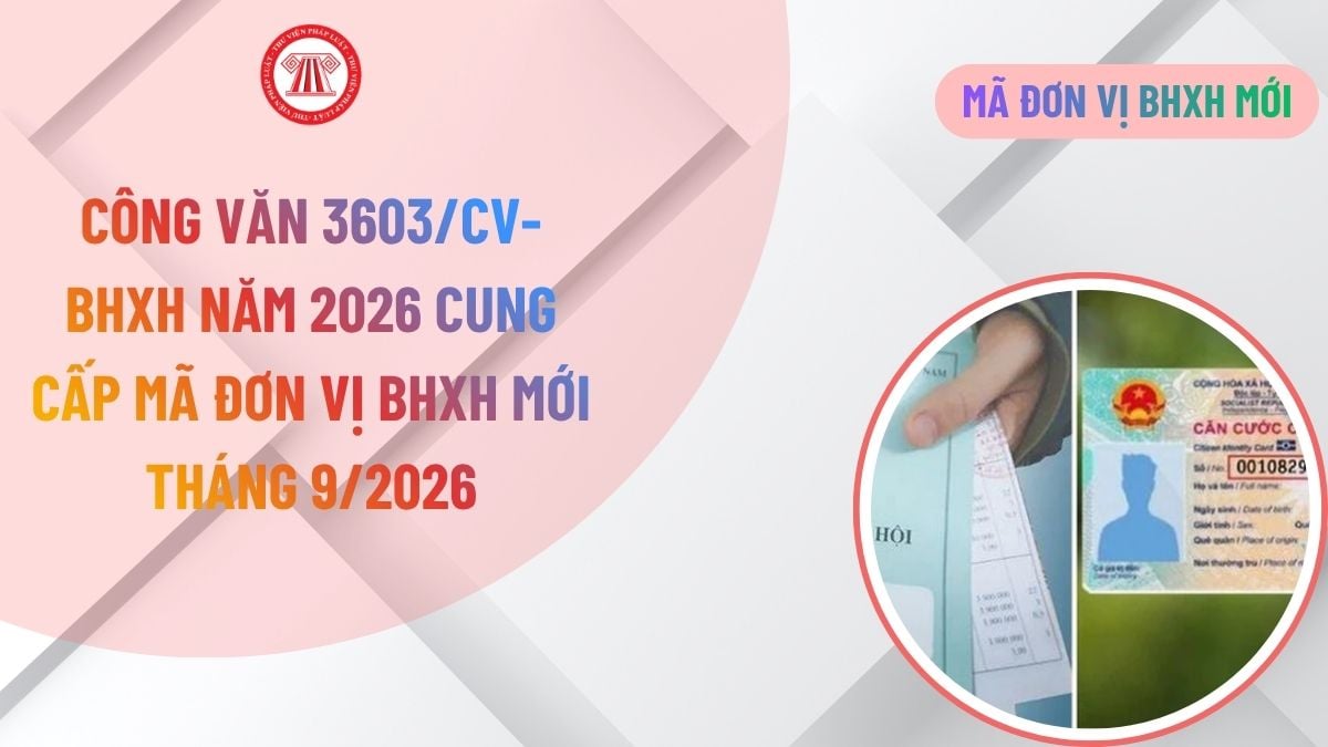 Công văn 3603/CV-BHXH năm 2026 cung cấp mã đơn vị BHXH mới tháng 9/2026, chi tiết ra sao? 