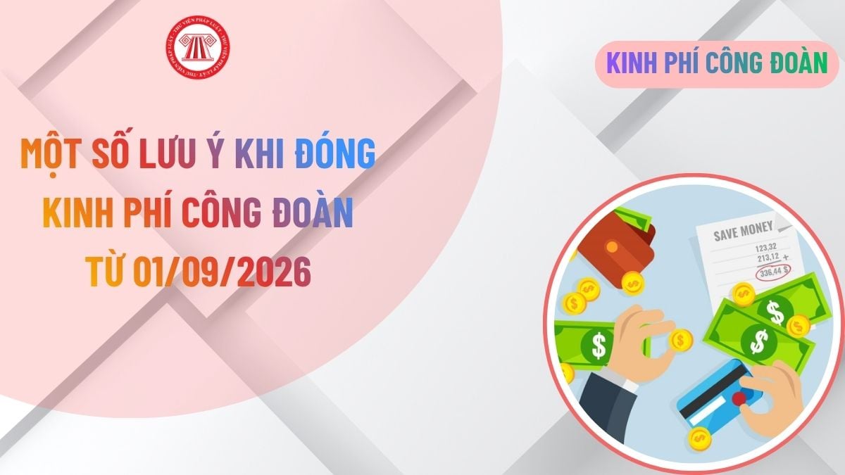 Lao Động Tiền Lương