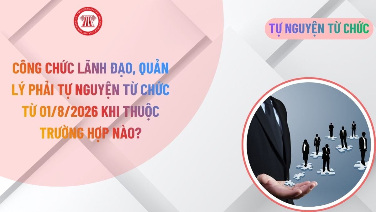 Lao Động Tiền Lương