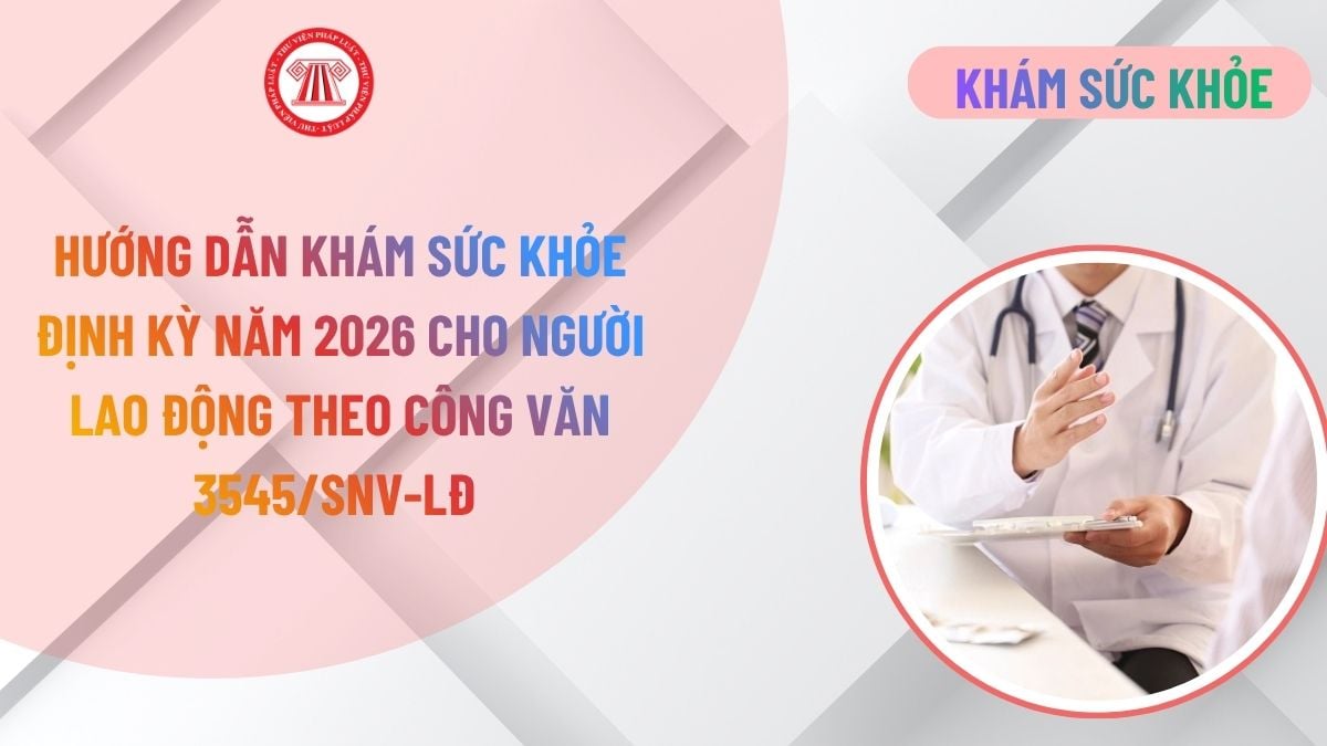 Lao Động Tiền Lương