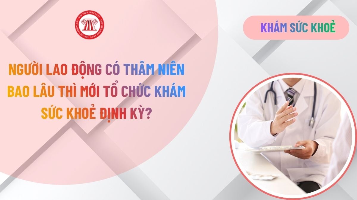 Lao Động Tiền Lương