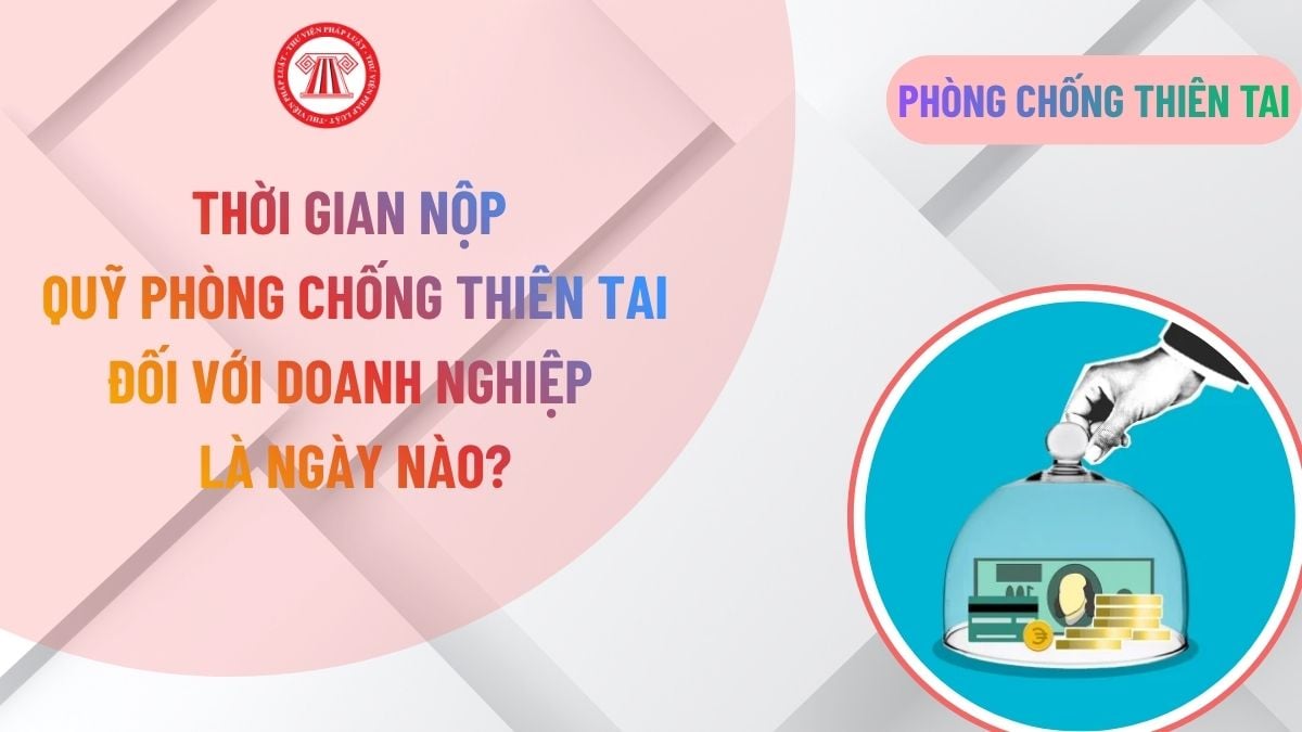 Lao Động Tiền Lương