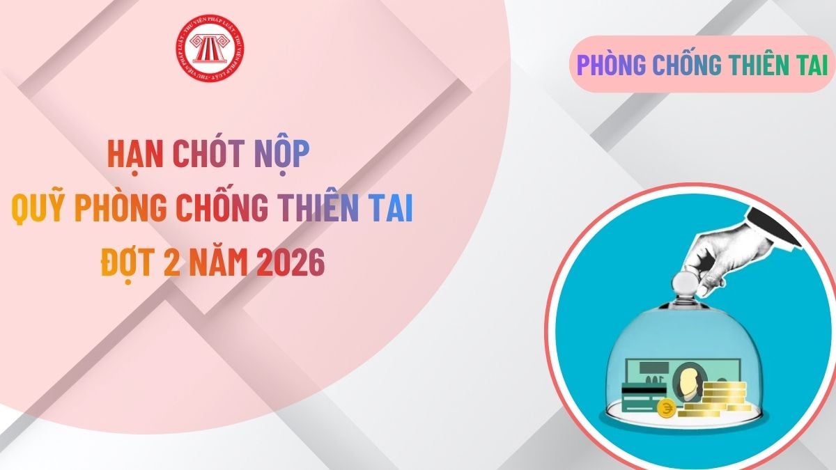 Lao Động Tiền Lương