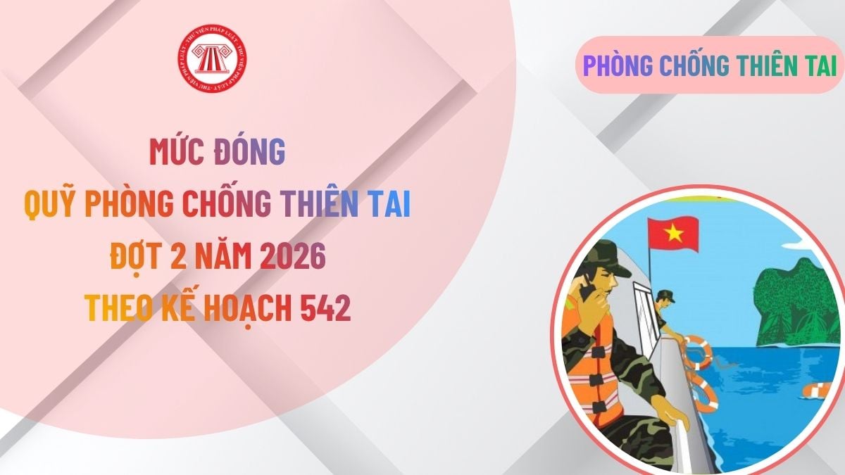 Lao Động Tiền Lương