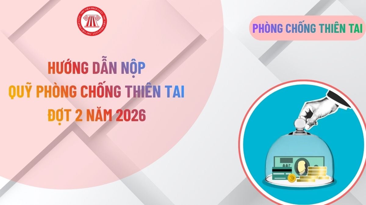 Lao Động Tiền Lương
