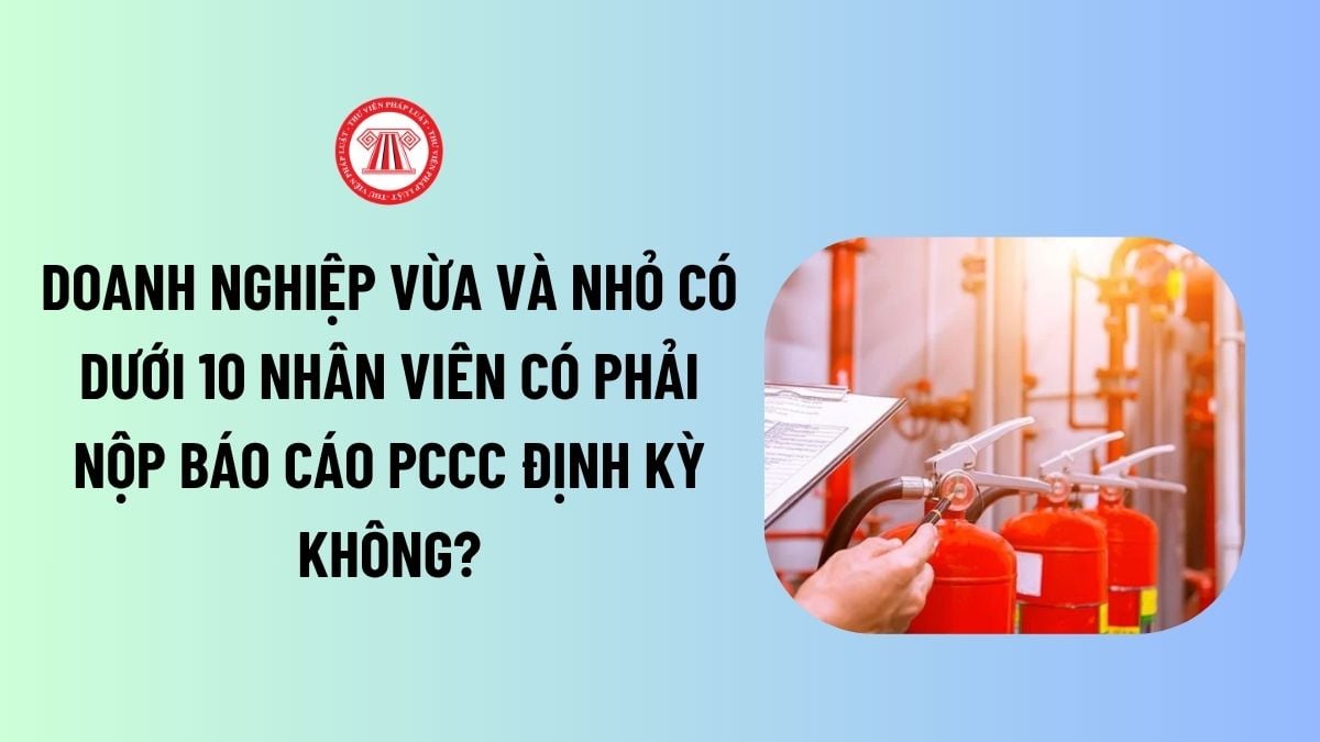 Lao Động Tiền Lương