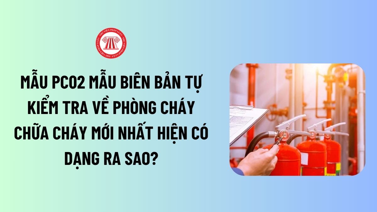 Lao Động Tiền Lương
