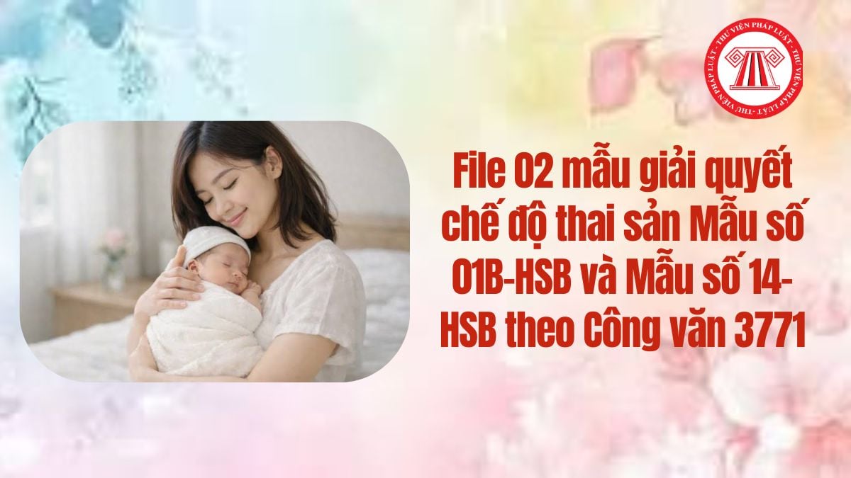 Lao Động Tiền Lương