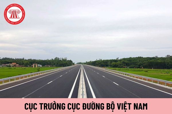 Cục trưởng Cục Đường bộ Việt Nam bị luân chuyển theo quyết định của ai?