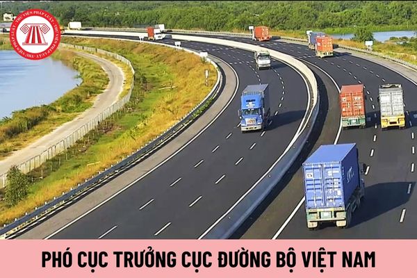 Ai có quyền điều động Phó Cục trưởng Cục Đường bộ Việt Nam?