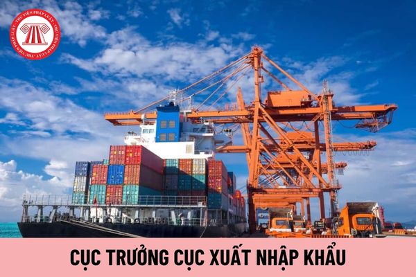 Ai có thẩm quyền kỷ luật Cục trưởng Cục Xuất nhập khẩu?