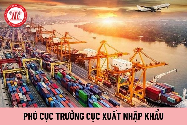 Phó Cục trưởng Cục Xuất nhập khẩu được ai khen thưởng?