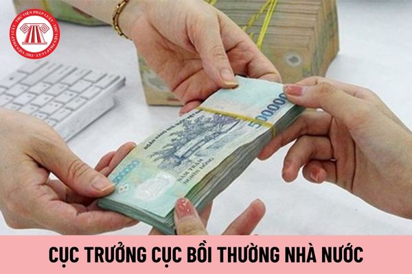 Cục trưởng Cục Bồi thường nhà nước phải thực hiện những nhiệm vụ cụ thể gì?