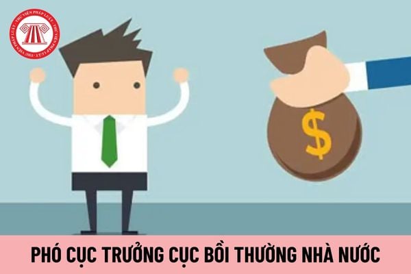 Phó Cục trưởng Cục Bồi thường nhà nước chịu trách nhiệm trước ai?