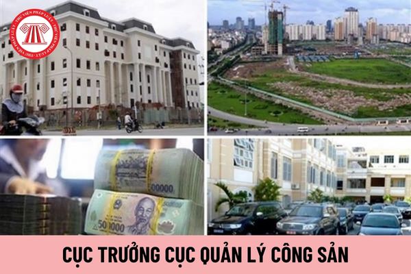 Cục trưởng Cục Quản lý công sản thuộc Bộ nào?