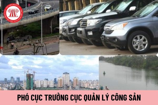 Phó Cục trưởng Cục Quản lý công sản chịu trách nhiệm trước ai?