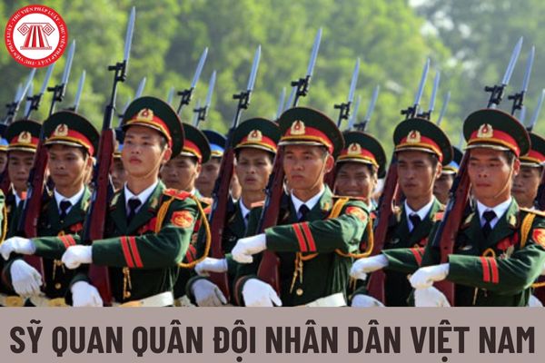 Miễn nhiệm đối với chức vụ đối với sĩ quan quân đội nhân dân Việt Nam trong trường hợp nào?