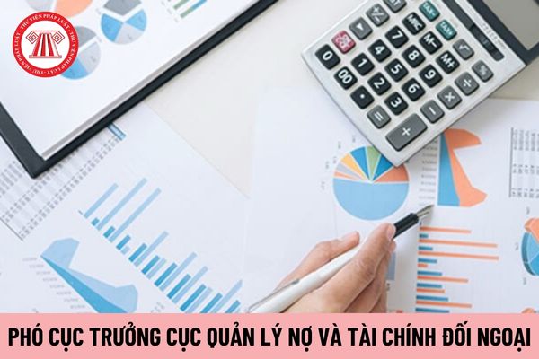 Tối đa bao nhiêu Phó Cục trưởng Cục Quản lý nợ và tài chính đối ngoại?