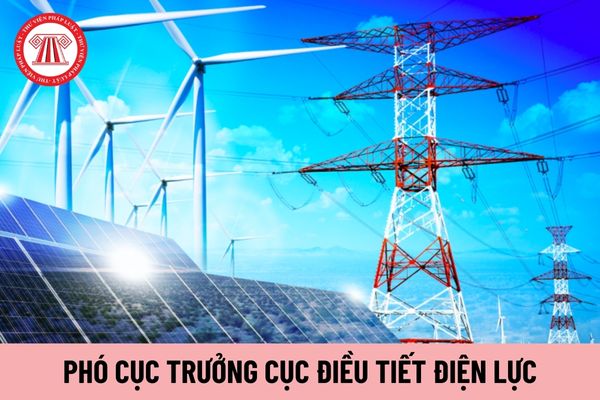 Ai có thẩm quyền bổ nhiệm Phó Cục trưởng Cục Điều tiết điện lực?