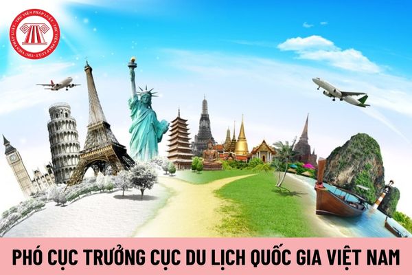 Phó Cục trưởng Cục Du lịch Quốc gia Việt Nam phải đáp ứng tiêu chuẩn về trình độ, phẩm chất như thế nào?
