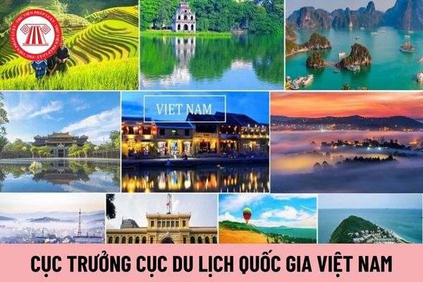 Cục trưởng Cục Du lịch Quốc gia Việt Nam chịu trách nhiệm trước ai?