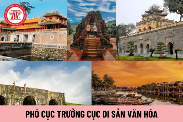 Phó Cục trưởng Cục Di sản văn hóa có nhiệm vụ gì?