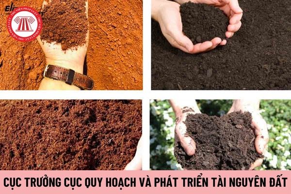 Cục trưởng Cục Quy hoạch và Phát triển tài nguyên đất chịu trách nhiệm trước ai?