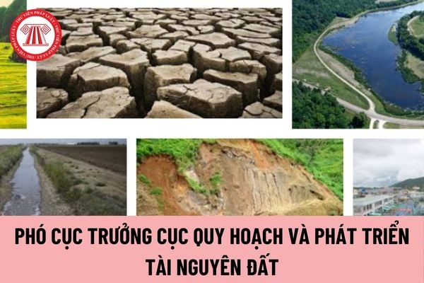 Có tối đa bao nhiêu Phó Cục trưởng Cục Quy hoạch và Phát triển tài nguyên đất?