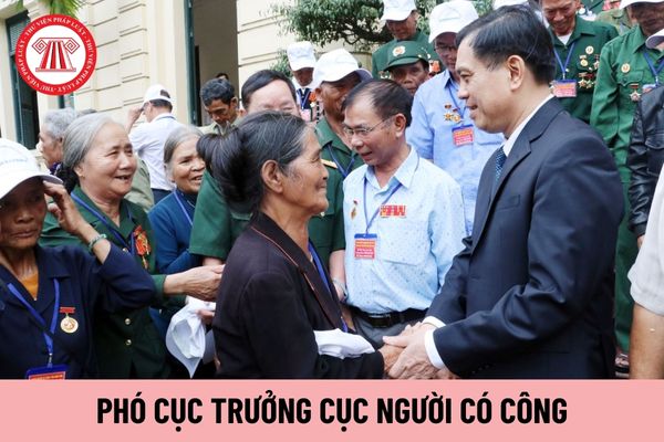 Có tối đa bao nhiêu Phó Cục trưởng Cục Người có công?