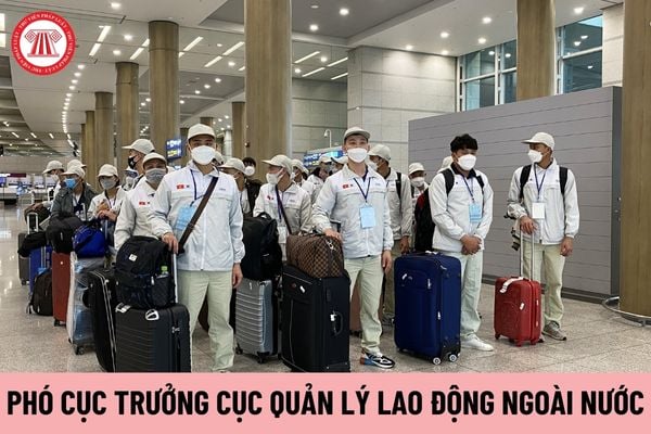 Có tối đa bao nhiêu Phó Cục trưởng Cục Quản lý lao động ngoài nước?