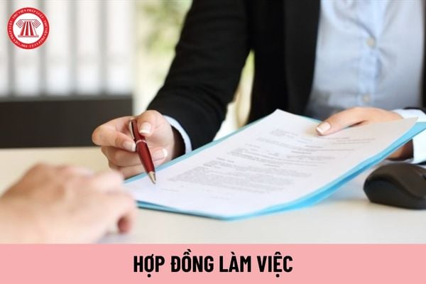 3 trường hợp viên chức có thể được ký hợp đồng làm việc không xác định thời hạn là gì?