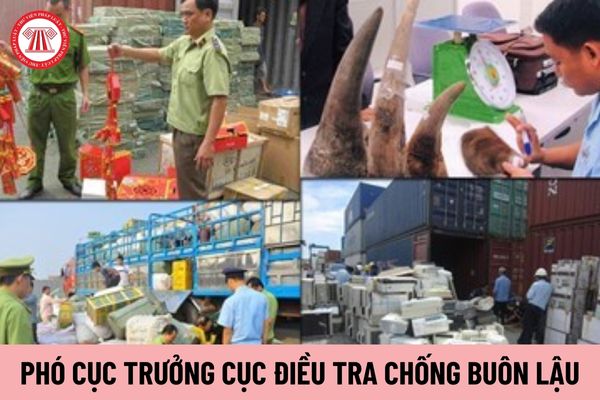 Việc bổ nhiệm Phó Cục trưởng Cục Điều tra chống buôn lậu thực hiện theo phân cấp quản lý cán bộ của ai?