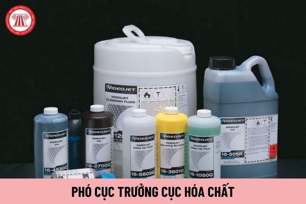 Có tối đa bao nhiêu Phó Cục trưởng Cục Hóa chất?