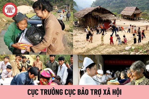 Cục trưởng Cục Bảo trợ xã hội có trách nhiệm gì?