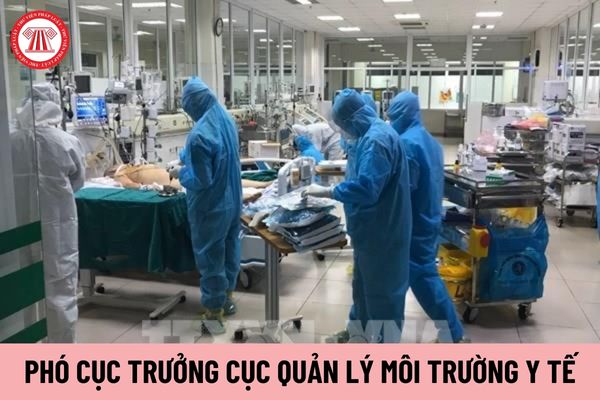 Ai có thẩm quyền miễn nhiệm Phó Cục trưởng Cục Quản lý Môi trường y tế?