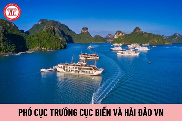 Cục trưởng Cục Biển và Hải đảo Việt Nam chịu trách nhiệm trước ai?