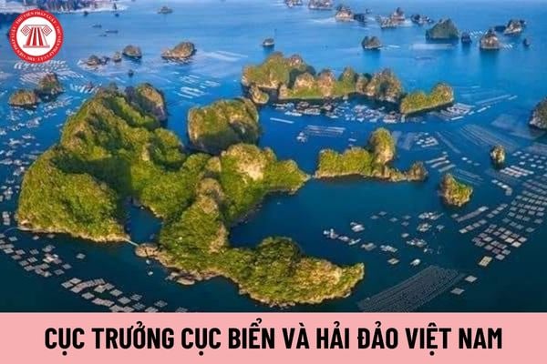 Có tối đa bao nhiêu Phó Cục trưởng Cục Biển và Hải đảo Việt Nam?