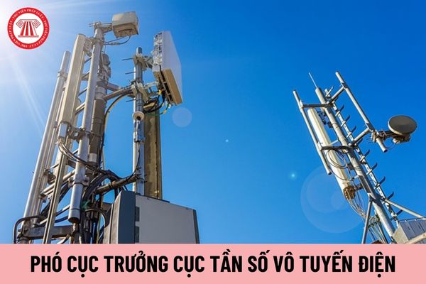 Phó Cục trưởng Cục Tần số vô tuyến điện phải đáp ứng tiêu chuẩn về trình độ, phẩm chất như thế nào?