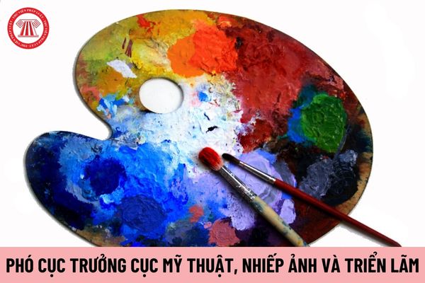 Phó Cục trưởng Cục Mỹ thuật, Nhiếp ảnh và Triển lãm phải thực hiện những nhiệm vụ như thế nào?